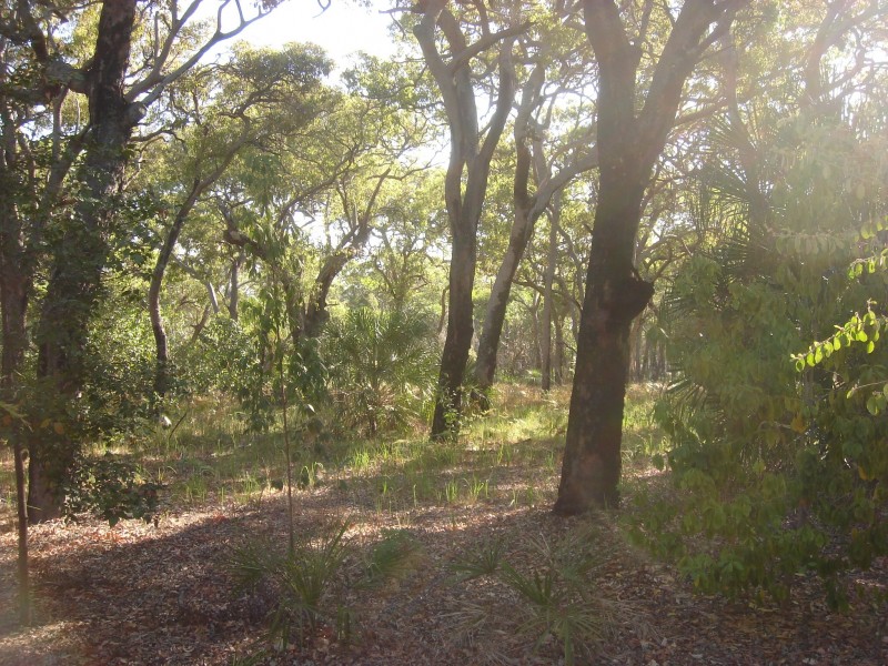 Agnes Water QLD 4677