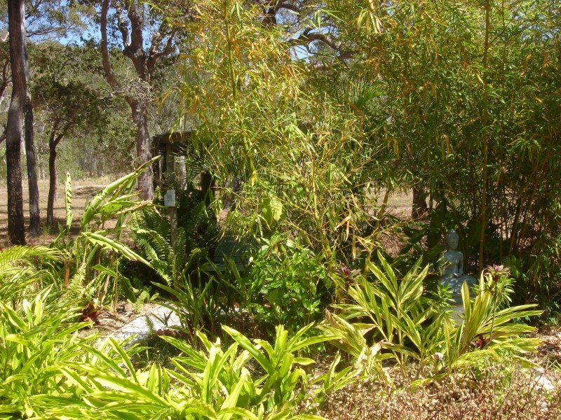 115 Bootmaker Drive, Agnes Water QLD 4677