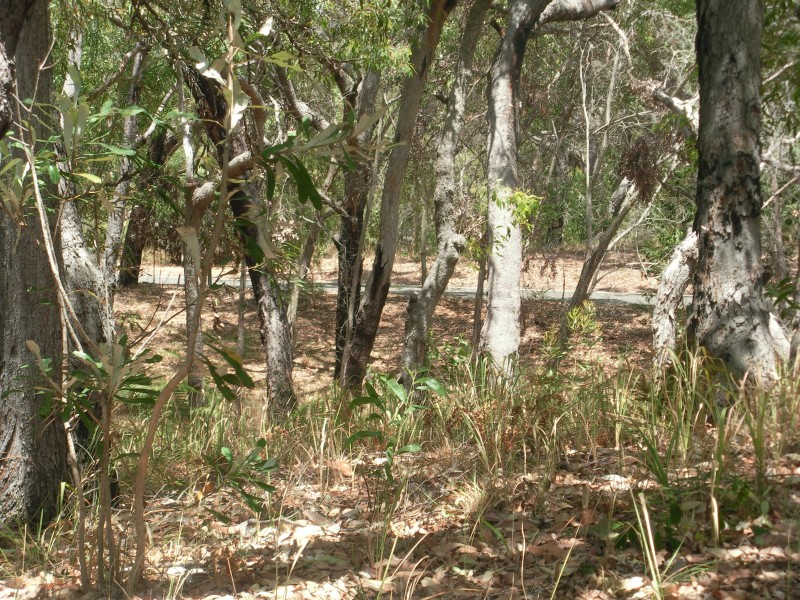 Agnes Water QLD 4677