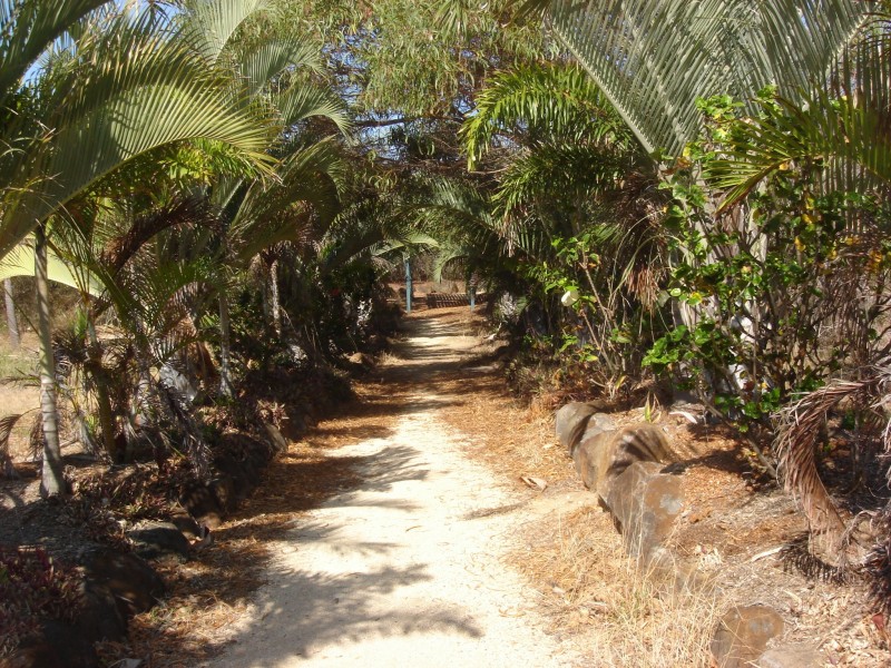 5 Seaview Court, Agnes Water QLD 4677