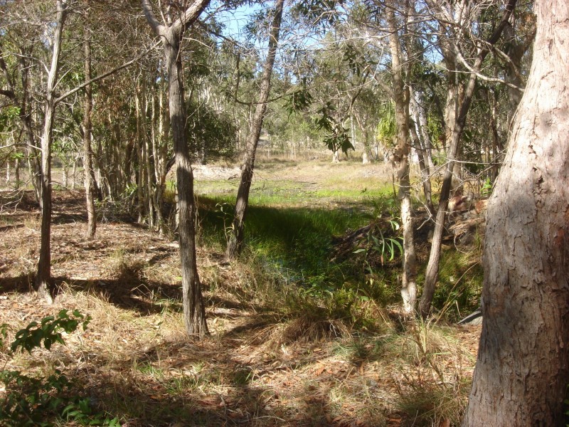 101 McGhee Crescent, Agnes Water QLD 4677