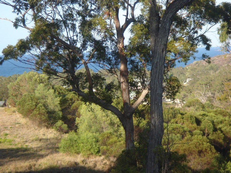 2 Round Hill Rd, Agnes Water QLD 4677