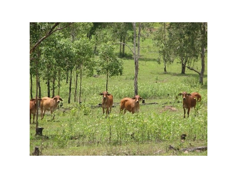 Agnes Water QLD 4677