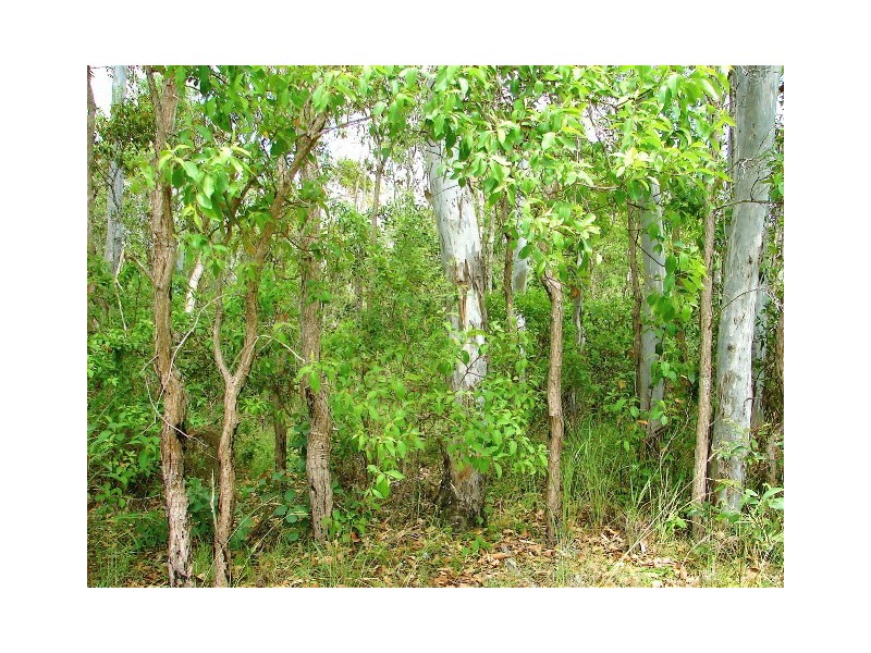 Agnes Water QLD 4677