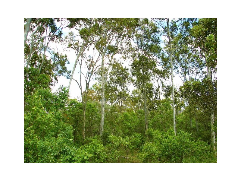Agnes Water QLD 4677