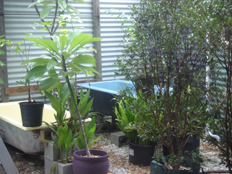 49 Josefski Rd, Agnes Water QLD 4677