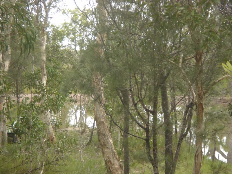 49 Josefski Rd, Agnes Water QLD 4677