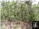 Lowmead QLD 4676