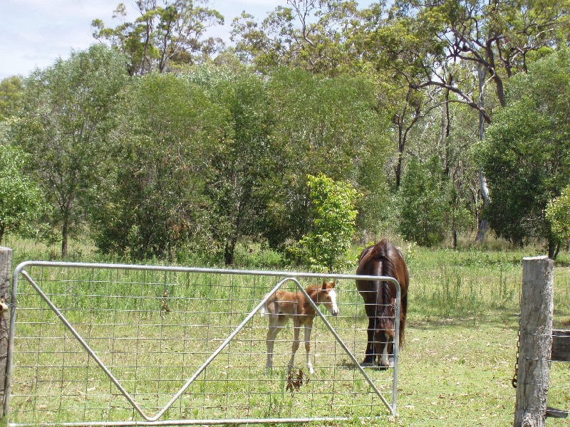 Agnes Water QLD 4677