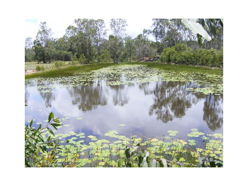 Baffle Creek QLD 4674