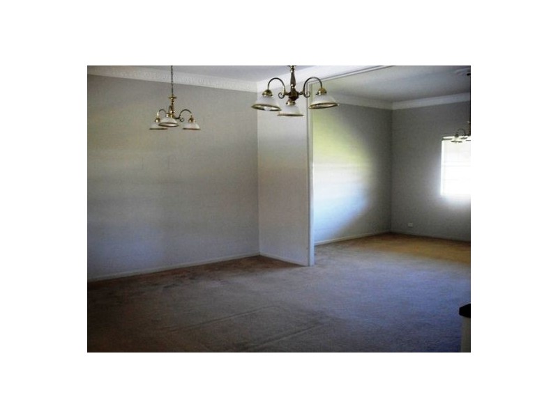 7 Daintree Drive, Urangan QLD 4655