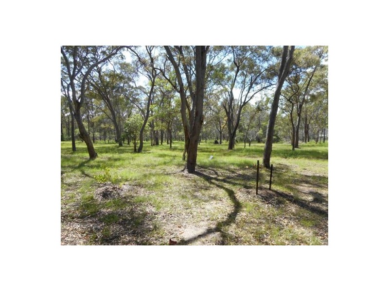 16 Ti Tree Road East, Booral QLD 4655