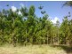 LOT 3 DERNS DVE, Takura QLD 4655
