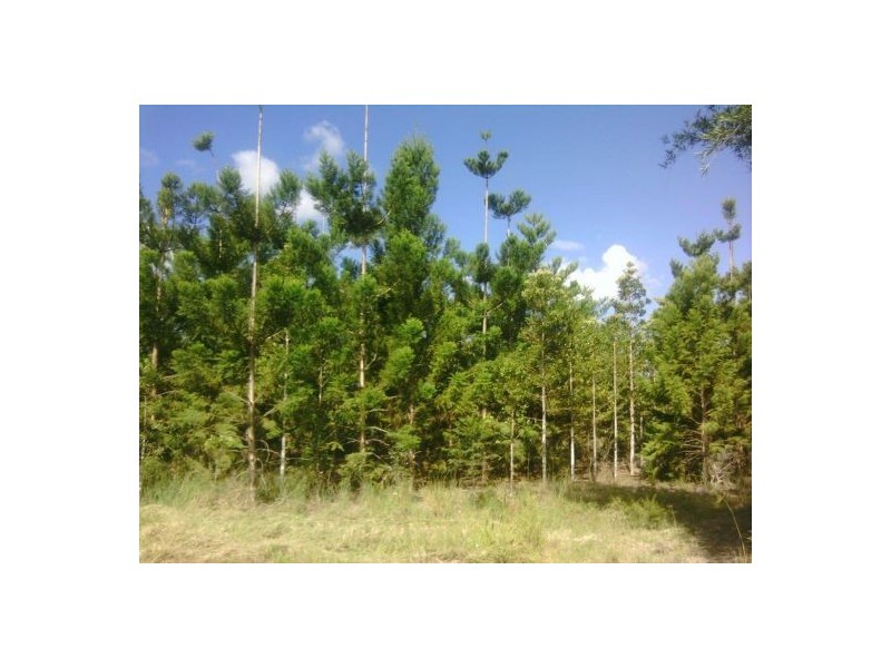 LOT 3 DERNS DVE, Takura QLD 4655