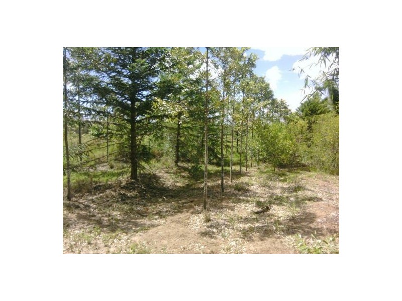 LOT 3 DERNS DVE, Takura QLD 4655