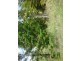 LOT 3 DERNS DVE, Takura QLD 4655