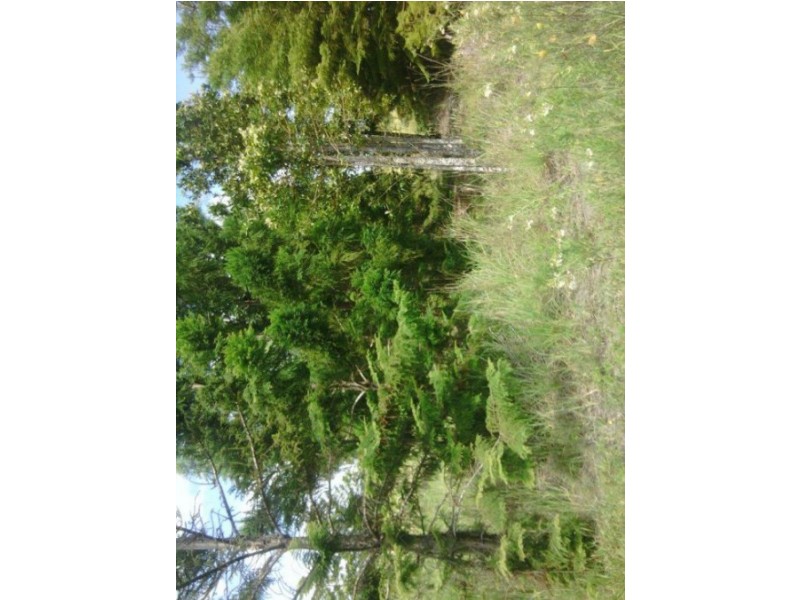 LOT 3 DERNS DVE, Takura QLD 4655