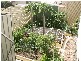 178 Reef Street. Gloden Shores. Pialba., Pialba QLD 4655