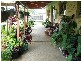 66 Drummond Street, Urangan QLD 4655