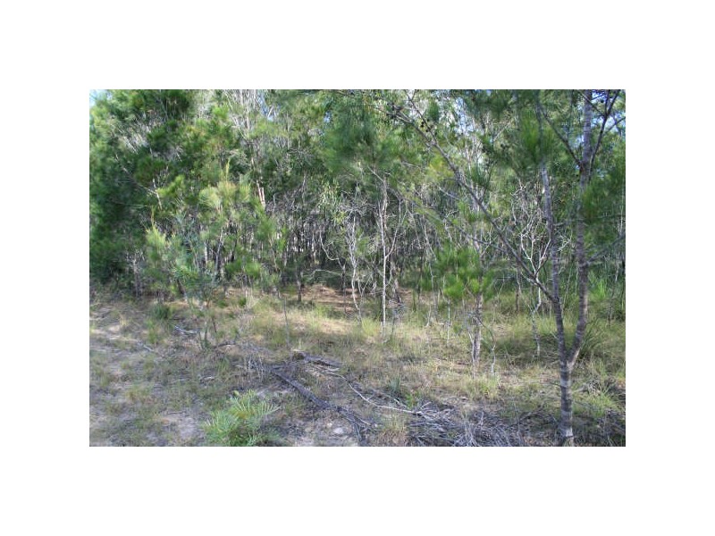 171 Pacific Haven Circuit, Pacific Haven QLD 4659
