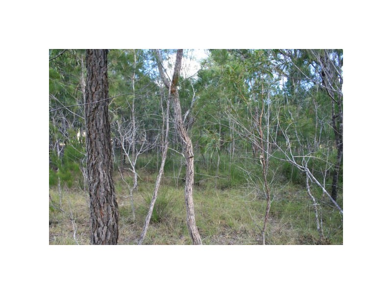 171 Pacific Haven Circuit, Pacific Haven QLD 4659
