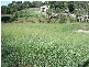 Craignish QLD 4655