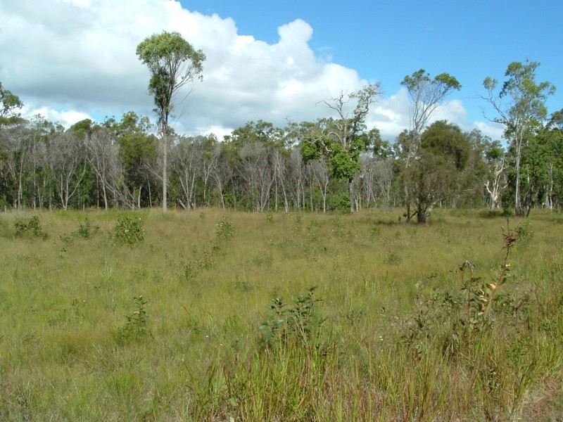 64 River Heads Road, River Heads QLD 4655