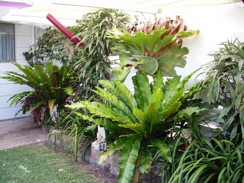 43B Murphy Street, Point Vernon QLD 4655