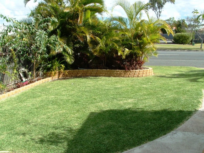 43B Murphy Street, Point Vernon QLD 4655