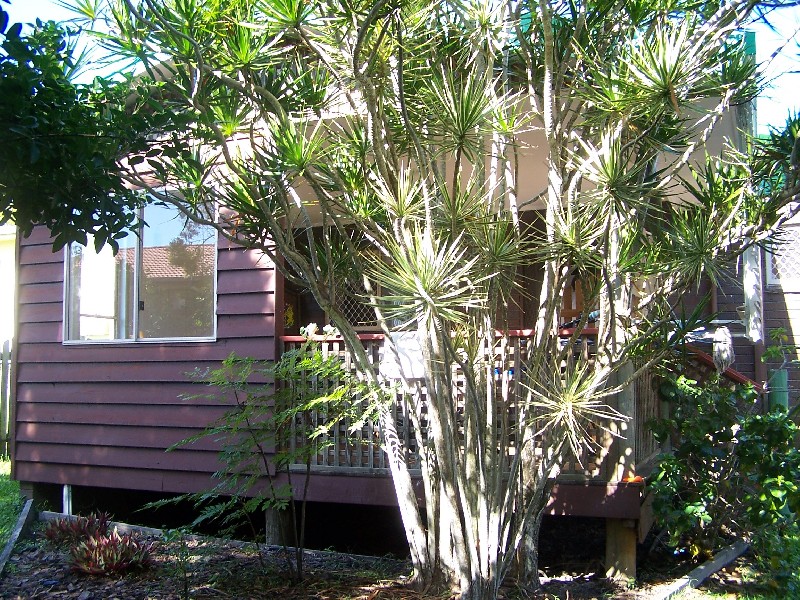 368 Boat Harbour Drive, Scarness QLD 4655