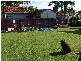 28 Kookaburra Drive, Eli Waters QLD 4655