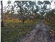 Torbanlea QLD 4662