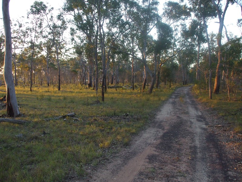 Torbanlea QLD 4662