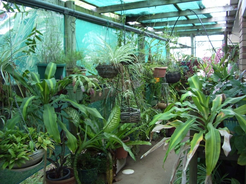 17 Mayfair Street, Point Vernon QLD 4655