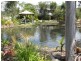 Pacific Haven QLD 4659