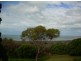 33 Halcro Street, Pialba QLD 4655