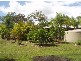 31 Marina Drive, Pacific Haven QLD 4659