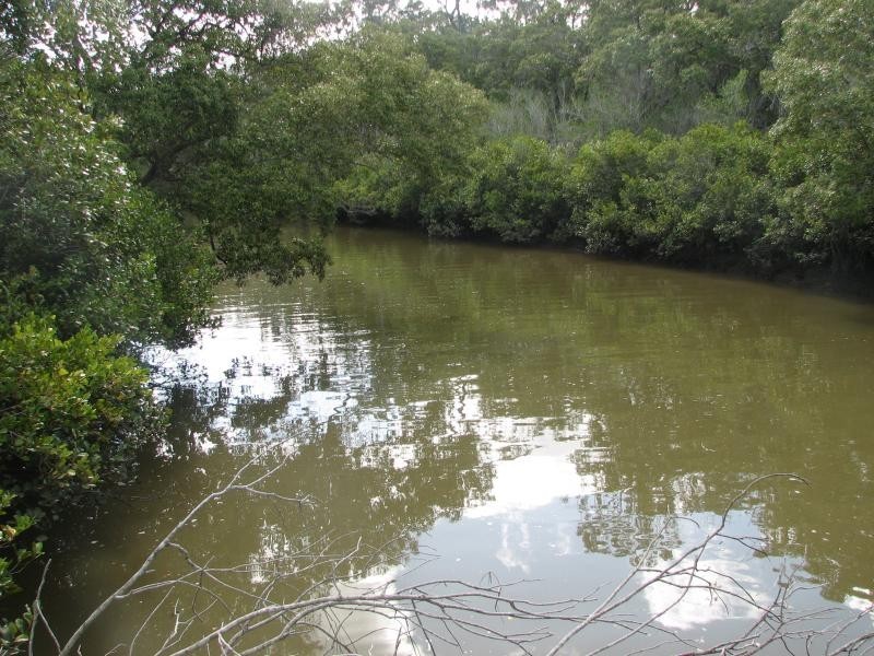 52 Pacific Haven Circuit, Pacific Haven QLD 4659