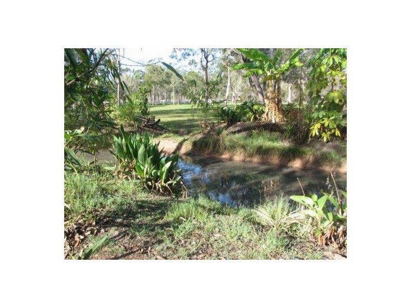 52 Pacific Haven Circuit, Pacific Haven QLD 4659