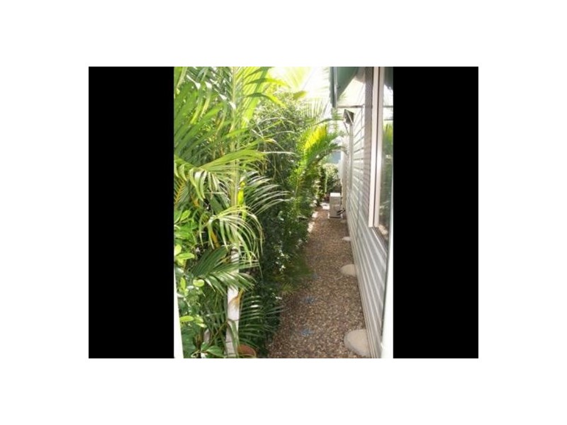 290 Island Ave. Golden Shores. Pialba., Pialba QLD 4655