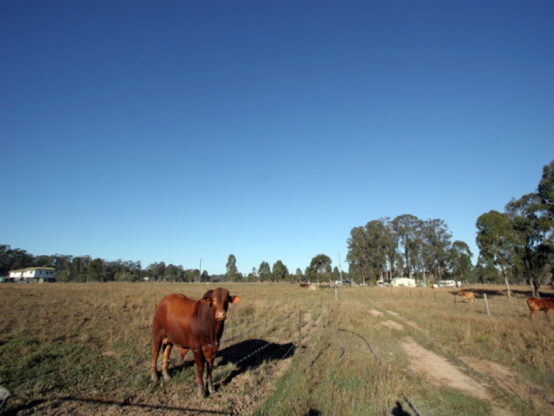 134  Dunford Rd East, Grahams Creek QLD 4650