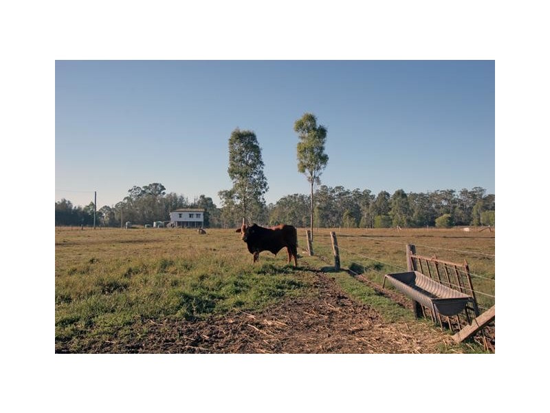 134  Dunford Rd East, Grahams Creek QLD 4650