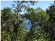164 Joynsons Rd, Torbanlea QLD 4662