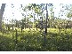 Lot 218, 42 Marina Drive, Pacific Haven QLD 4659