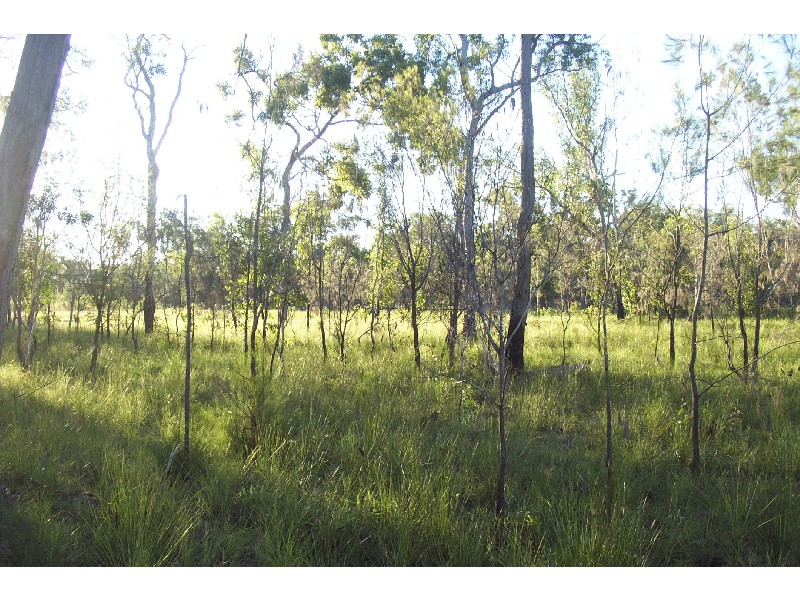 Lot 218, 42 Marina Drive, Pacific Haven QLD 4659