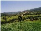 Lot 3, 43 Walli Creek Road, Kenilworth QLD 4574