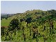 Lot 3, 43 Walli Creek Road, Kenilworth QLD 4574