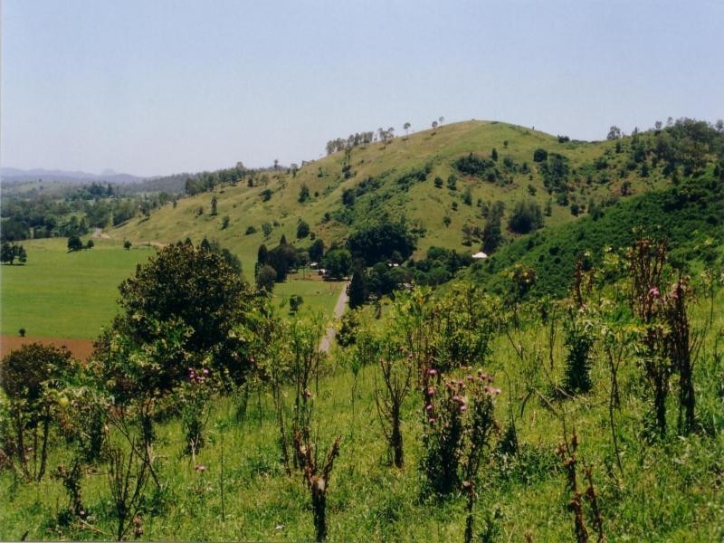 Lot 3, 43 Walli Creek Road, Kenilworth QLD 4574