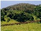 Lot 3, 43 Walli Creek Road, Kenilworth QLD 4574