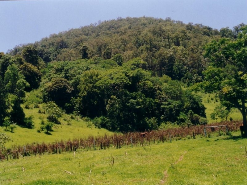 Lot 3, 43 Walli Creek Road, Kenilworth QLD 4574